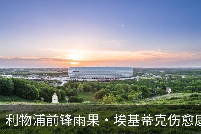 利物浦前锋雨果·埃基蒂克伤愈康复进展情况曝光