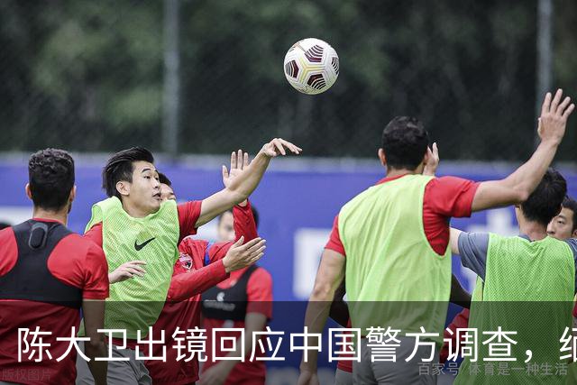 陈大卫出镜回应中国警方调查，缅北电诈真相浮出水面